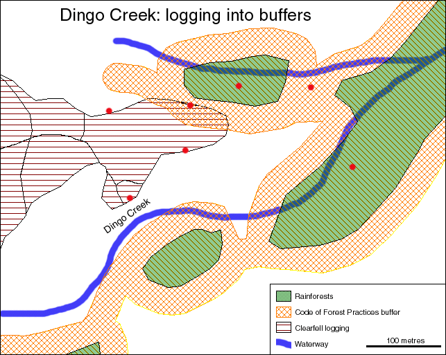 dingo creek